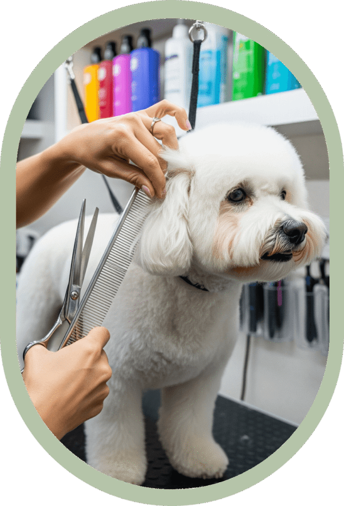 Manhattan Dog Grooming w/ Grooming Town