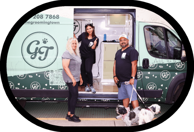 Manhattan Dog Grooming w/ Grooming Town