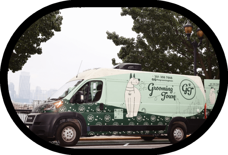 Manhattan Dog Grooming w/ Grooming Town